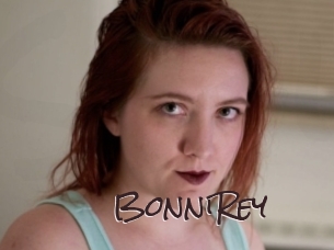 BonniRey Spicy Blogs