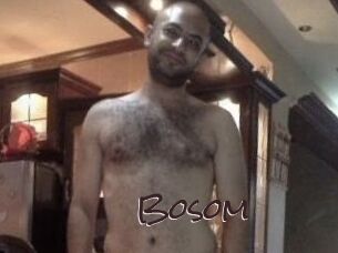 Bosom