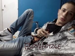 BoyHorse