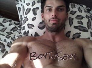 BoyToSexy