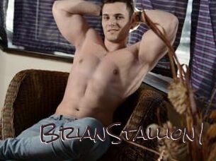 BrianStallion1