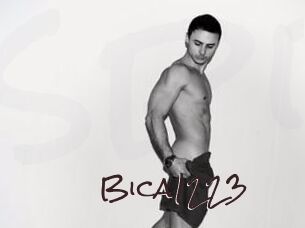 Bica1223
