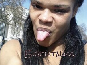 Bigclitnass