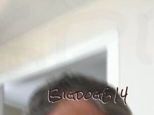 Bigdog614