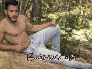 Bigmusclet