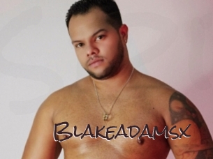 blakeadamsx Spicy Blogs