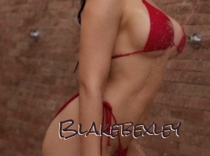blakebexley Spicy Blogs