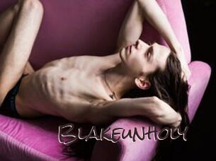 Blakeunholy