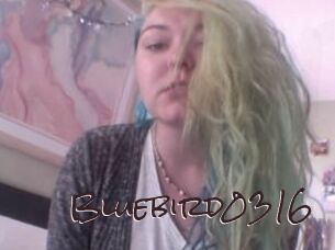 Bluebird0316