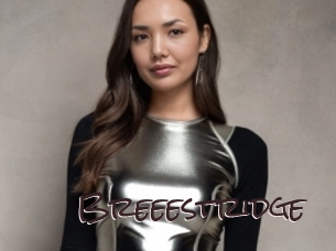 Breeestridge