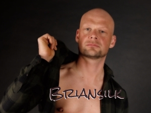 briansilk Spicy Blogs