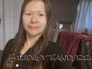 Bridget_banderro