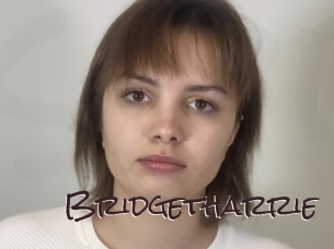 Bridgetharrie