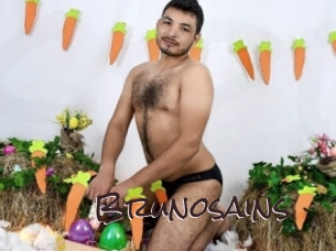 brunosains Spicy Blogs