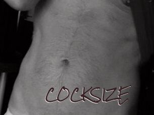 COCKSIZE Spicy Blogs