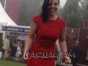 CarnalCam