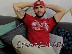 CesarZalaba