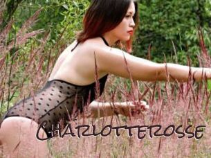 Charlotterosse Spicy Blogs