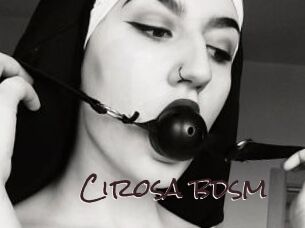 Cirosa_bdsm