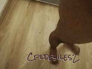 Cpldesiles2