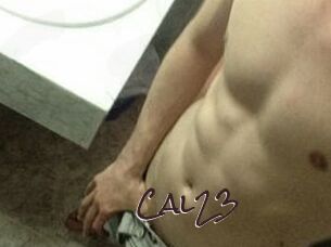 Cal23