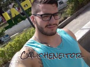 Calicheneitor