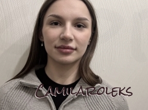 camilaroleks Spicy Blogs