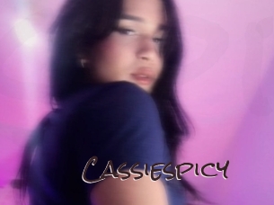 cassiespicy Spicy Blogs