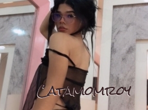 catamomroy Spicy Blogs