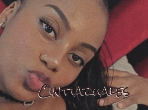 Cintiazuales