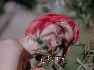 Citty