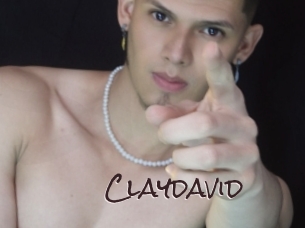 claydavid Spicy Blogs