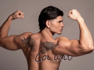 col_wild Spicy Blogs