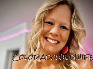 coloradowildwife Spicy Blogs