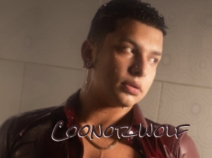 coonor_wolf Spicy Blogs