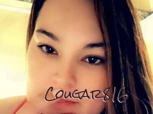 Cougar816