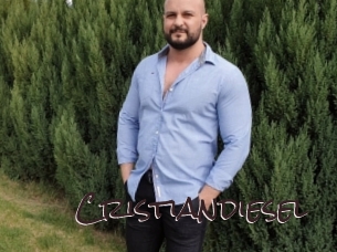 cristiandiesel Spicy Blogs