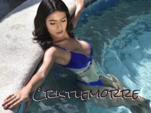 cristlemorre Spicy Blogs