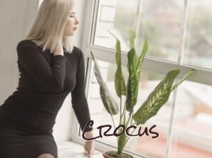 Crocus