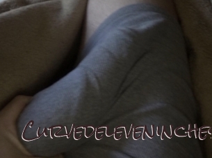 curvedeleveninches Spicy Blogs