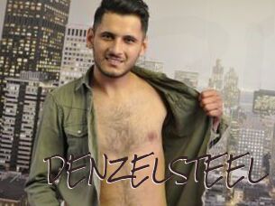 DENZELSTEEL