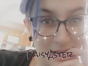 DaisyAster