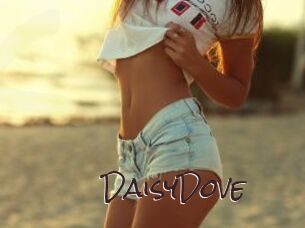 DaisyDove