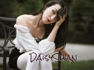 DaisySwan