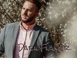 DarioFlamer