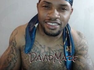 David_Maze