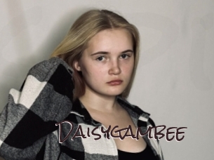 Daisygambee