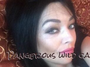 Dangerous_wild_cat