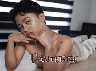 dantebre Spicy Blogs