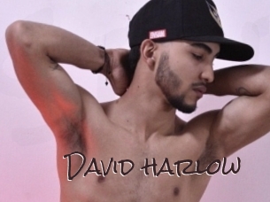 david_harlow Spicy Blogs